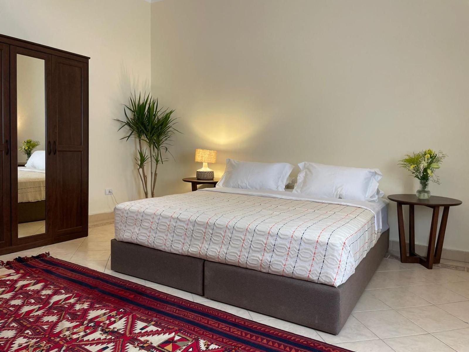 Luxury On The Nile - Zamalek Apartments カイロ エクステリア 写真
